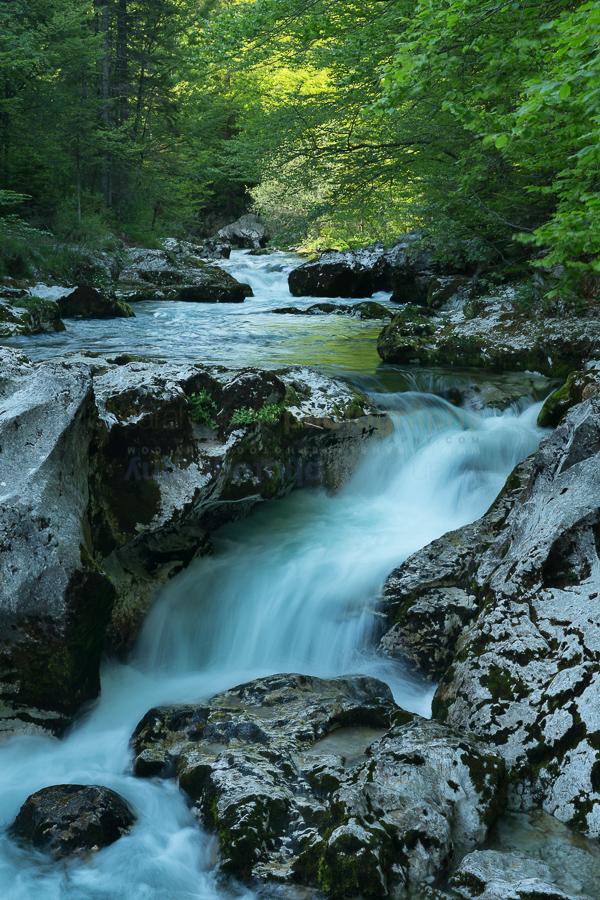Architecture and Landscapes of Slovenia