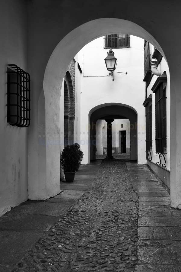 Spain: the Golden Triangle of Andalucia
