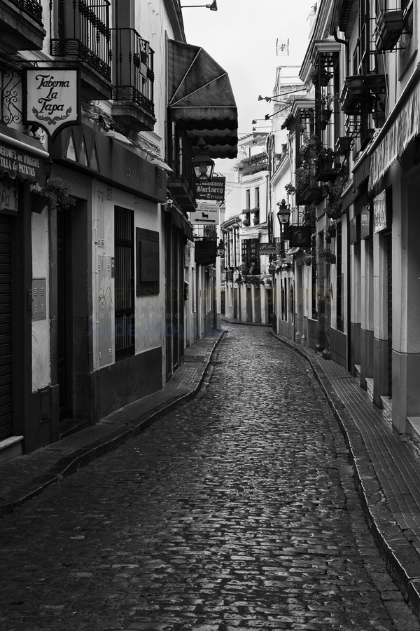 Spain: the Golden Triangle of Andalucia