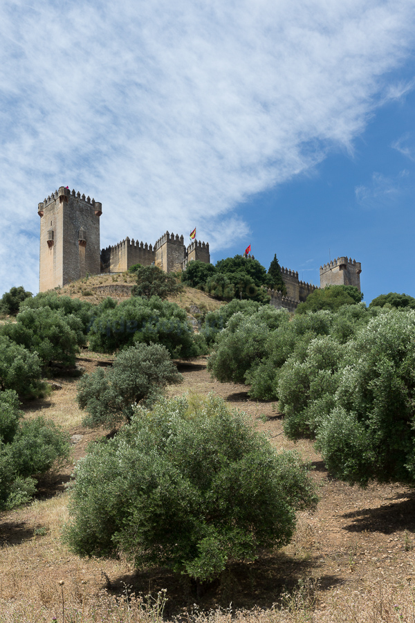 Spain: the Golden Triangle of Andalucia