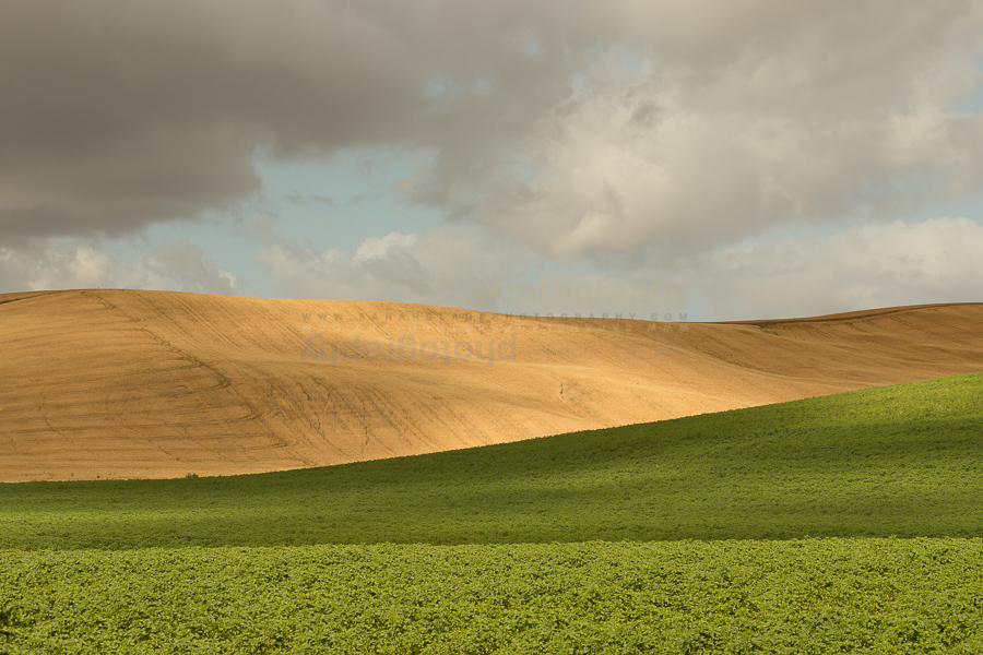 Spain: the Golden Triangle of Andalucia