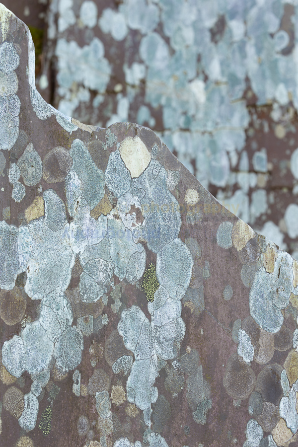 Rock Art 1