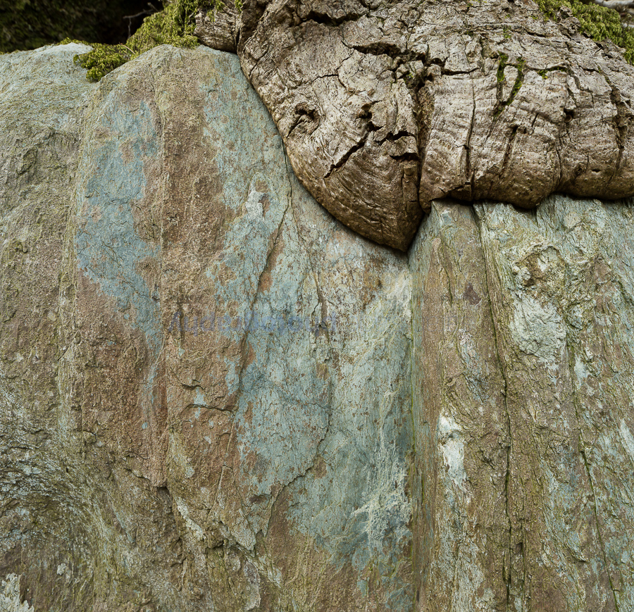 Root and rock blend