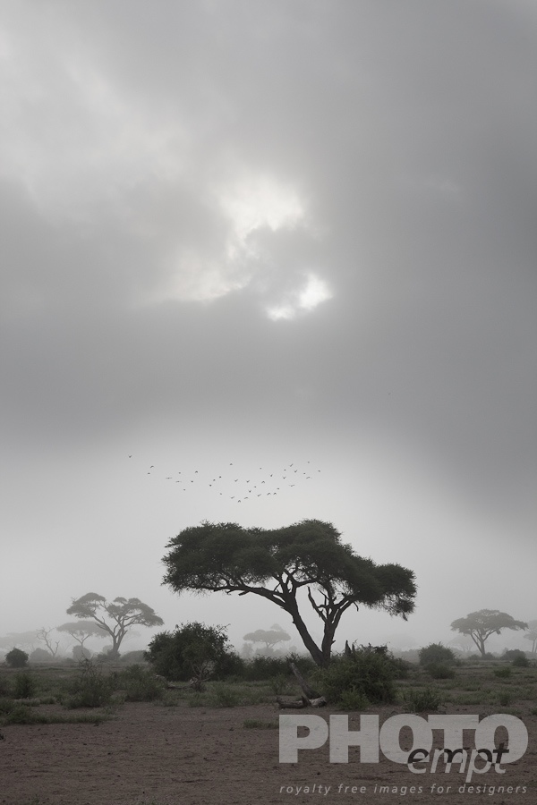 Landscapes of East Africa