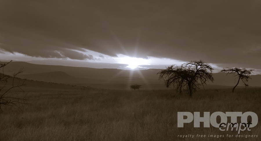 Landscapes of East Africa