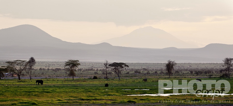 Landscapes of East Africa