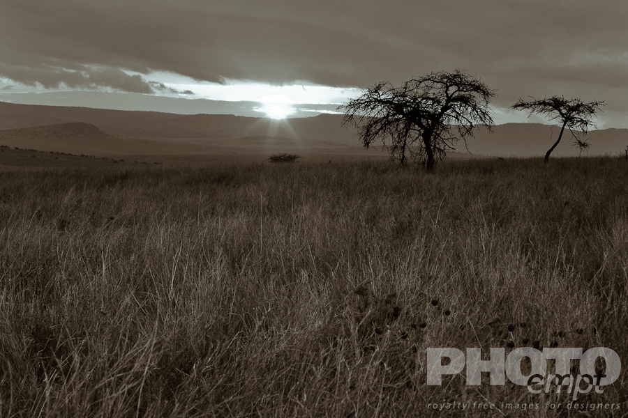 Landscapes of East Africa