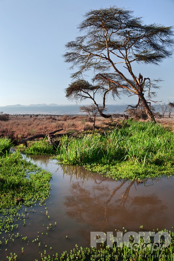 Landscapes of East Africa