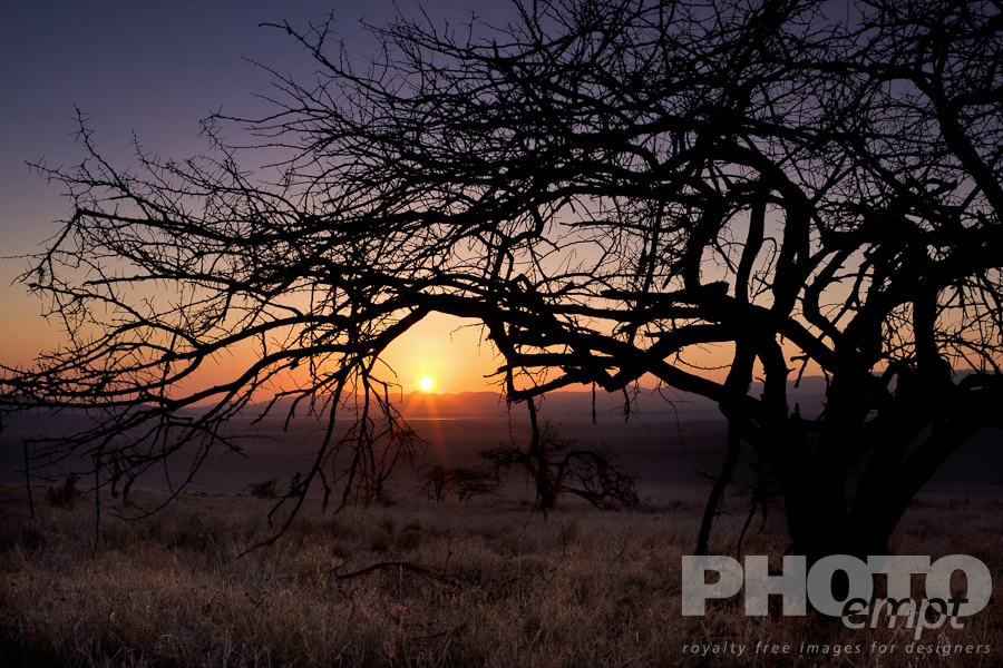 Landscapes of East Africa