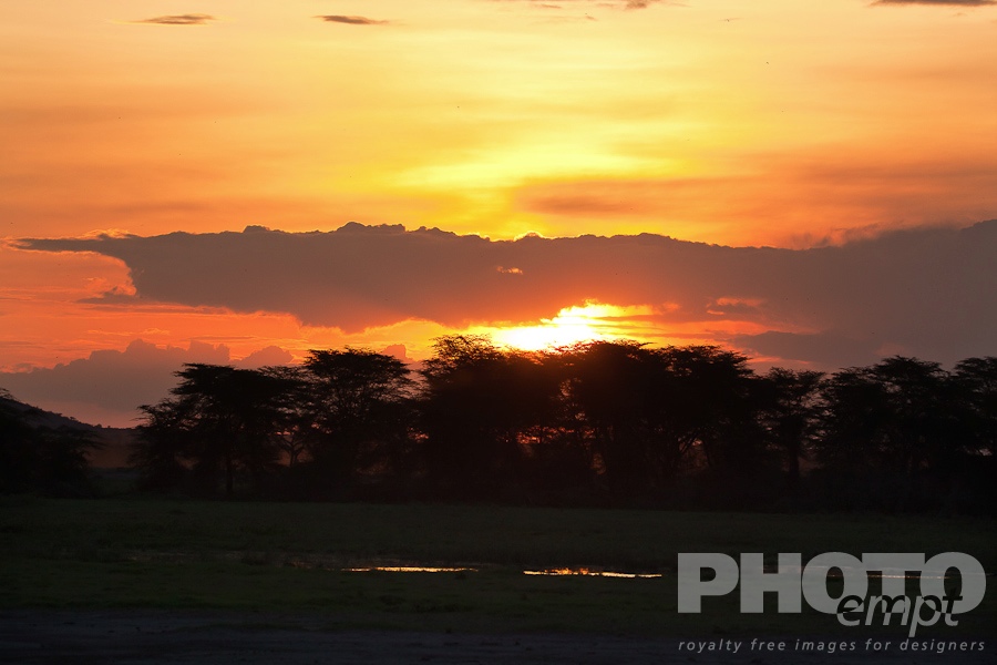 Landscapes of East Africa