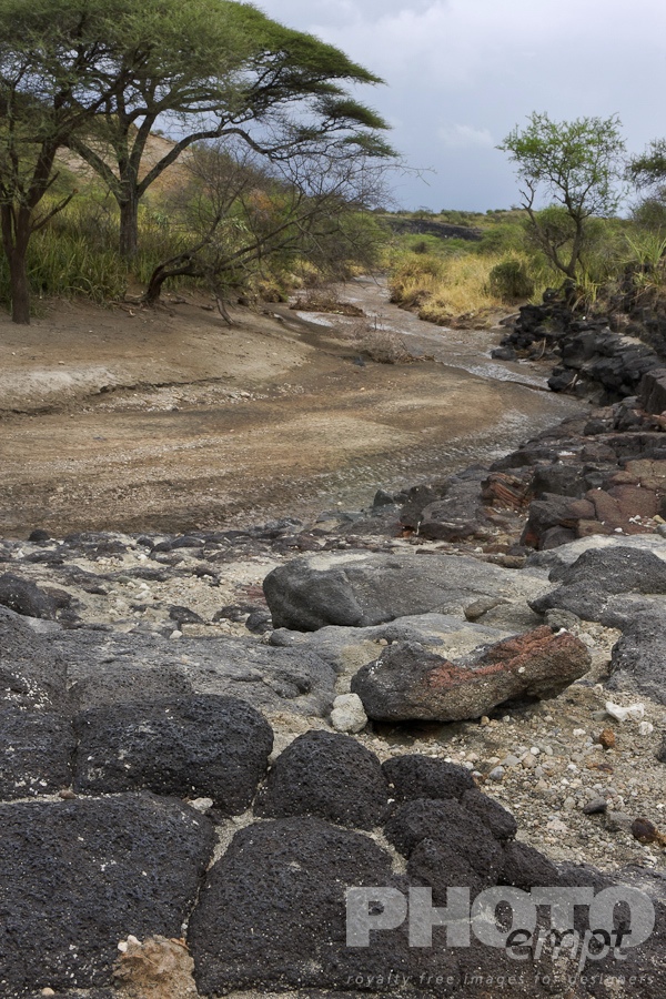 Landscapes of East Africa