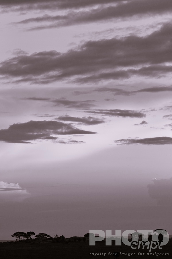 Landscapes of East Africa