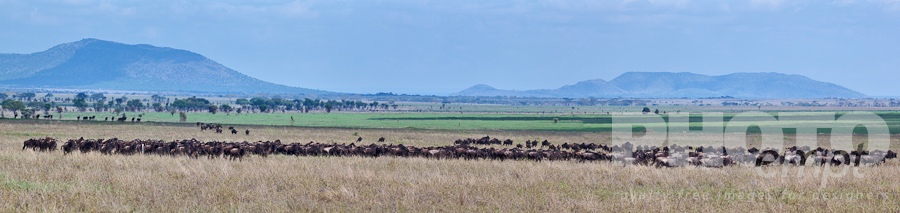 Landscapes of East Africa