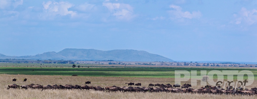 Landscapes of East Africa