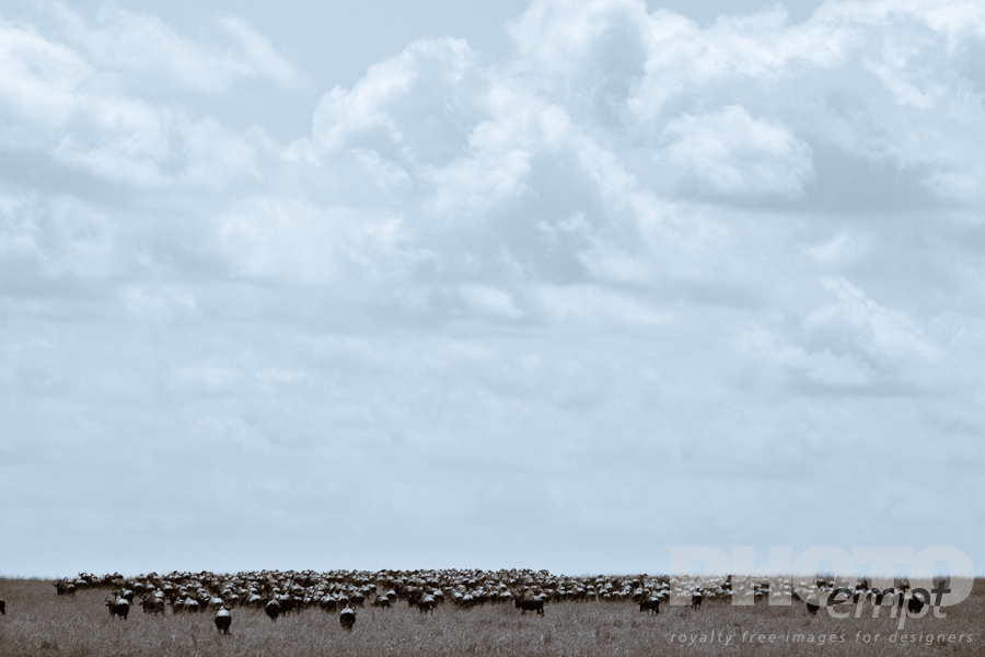 Landscapes of East Africa