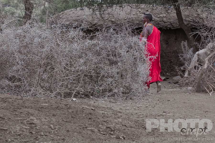 Masai Traditions of East Africa
