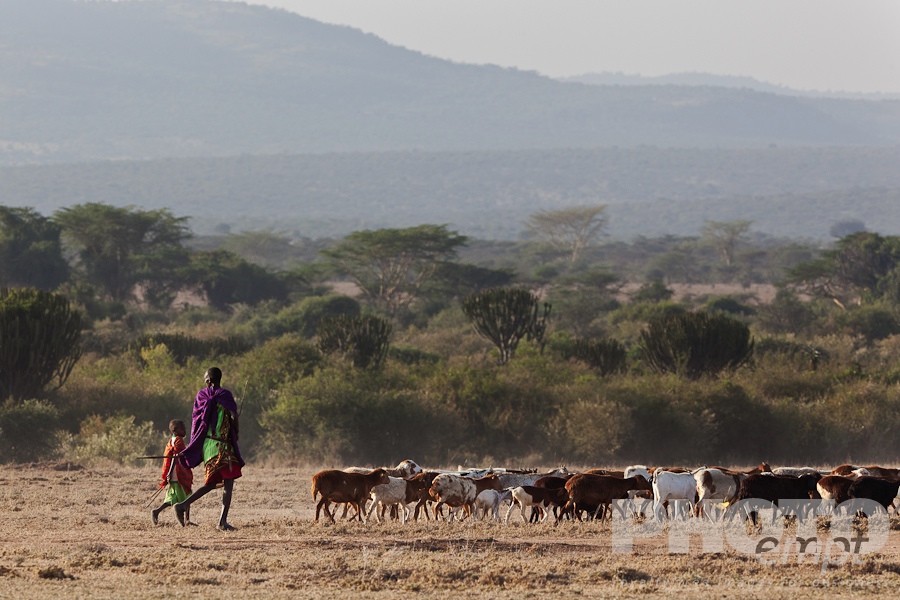 Masai Traditions of East Africa