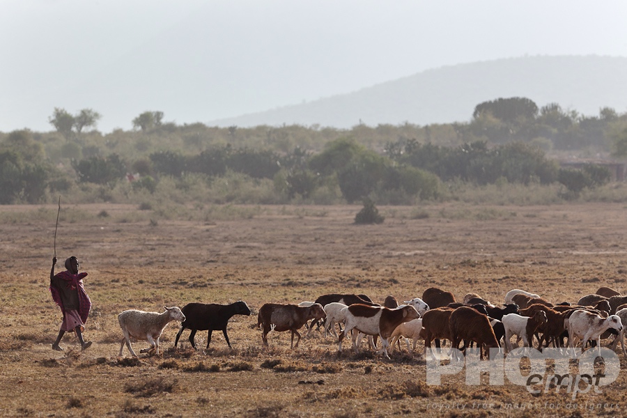 Masai Traditions of East Africa