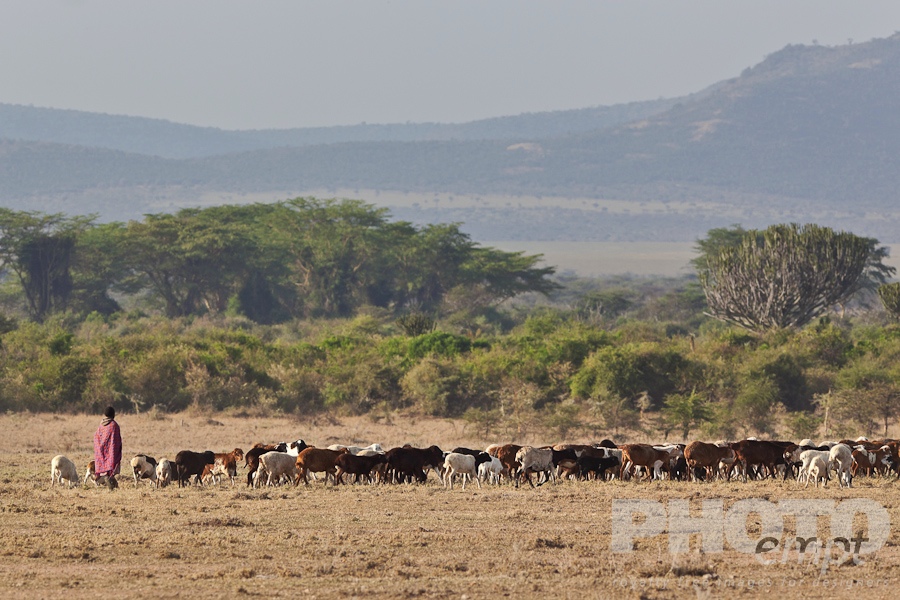 Masai Traditions of East Africa
