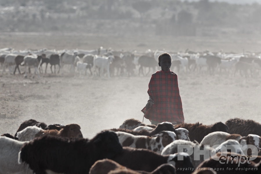 Masai Traditions of East Africa
