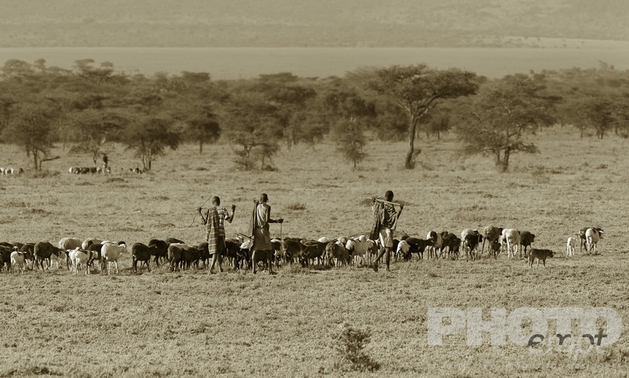 Masai Traditions of East Africa