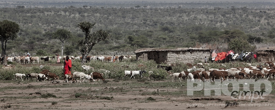 Masai Traditions of East Africa