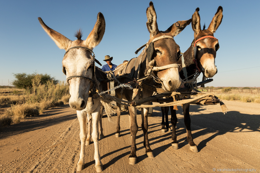 Namibia Culture