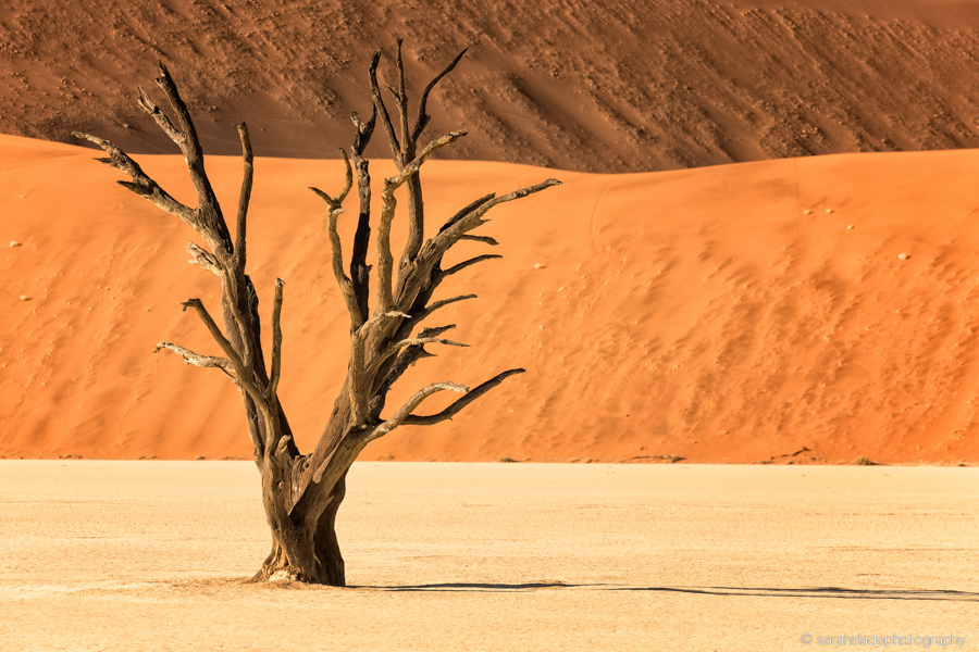 Namibia: Landscape