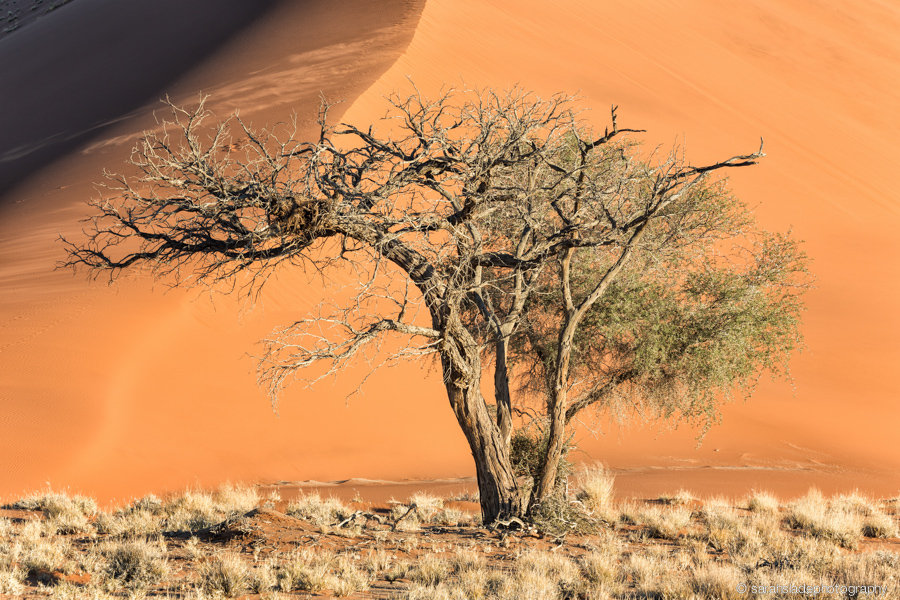 Namibia: Landscape