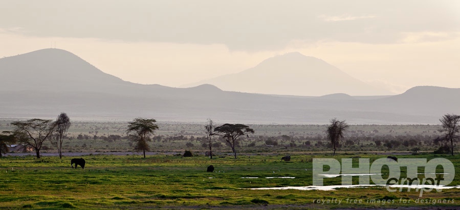 African Safari - Kenya. . . . . Panorama view: herd of Elephant foraging on grasslands, with trees, marsh waters, and mountain range beyond, Kenya, Africa