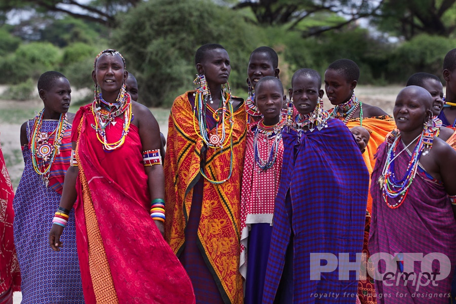 African Safari - Kenya. . . . . Group of young Masai  women parading at beginning of welcoming singing and dancing (adumu), Masai village, Kenya, Africa