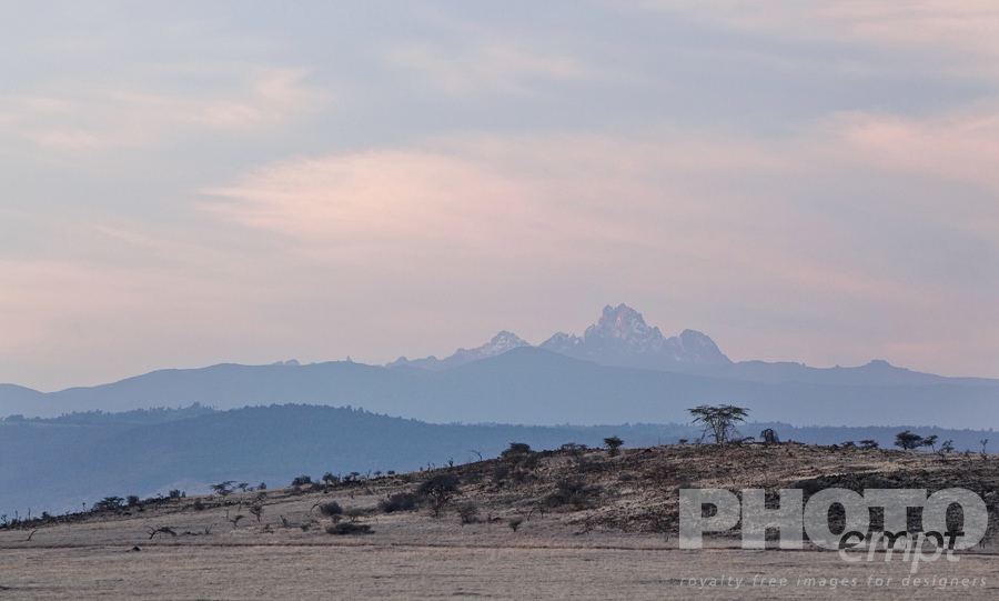 African Safari - Kenya