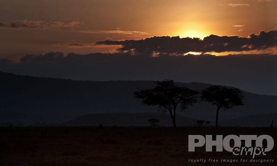 African Safari - Kenya