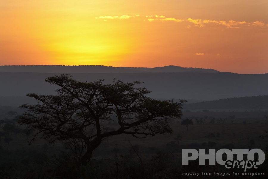 African Safari - Kenya