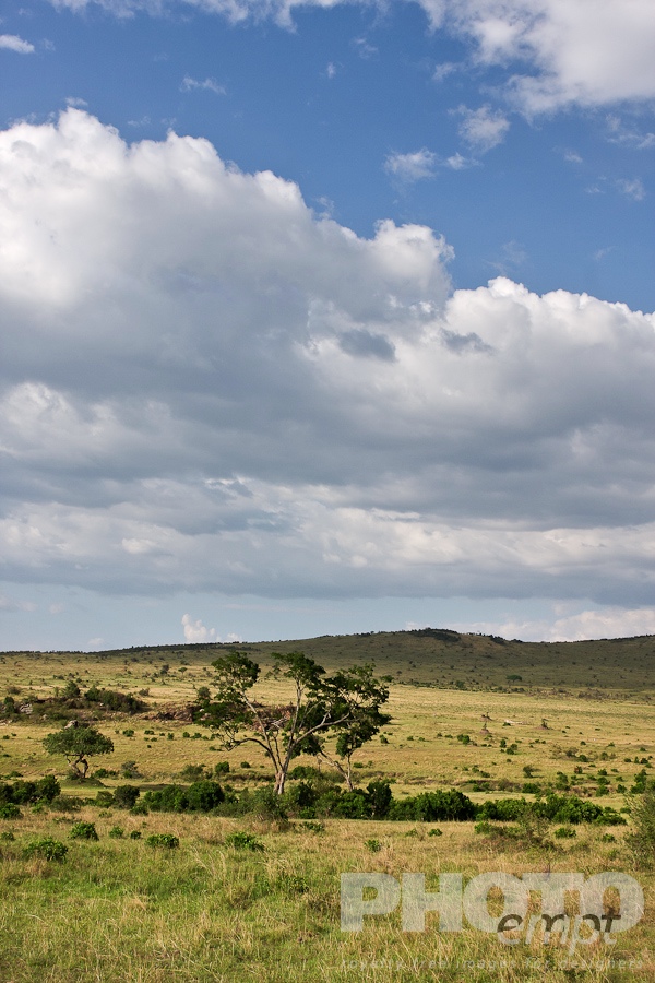 African Safari - Kenya