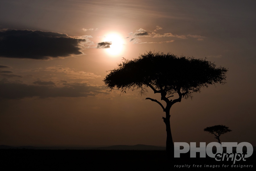 African Safari - Kenya