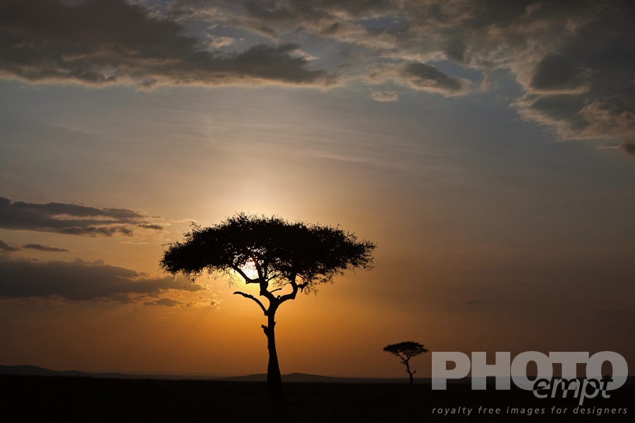 African Safari - Kenya