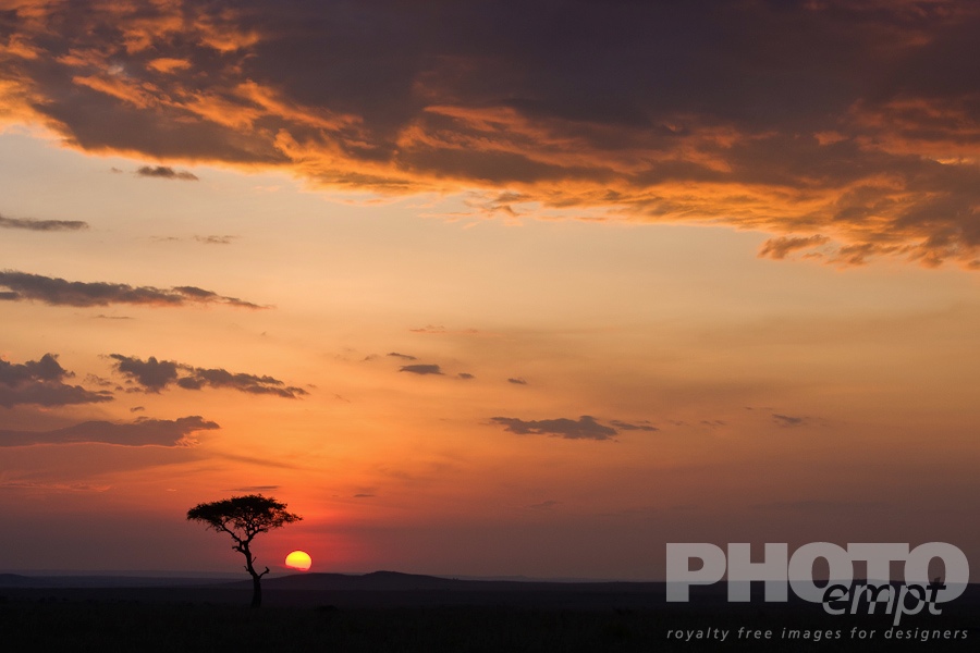 African Safari - Kenya