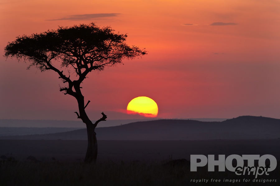 African Safari - Kenya