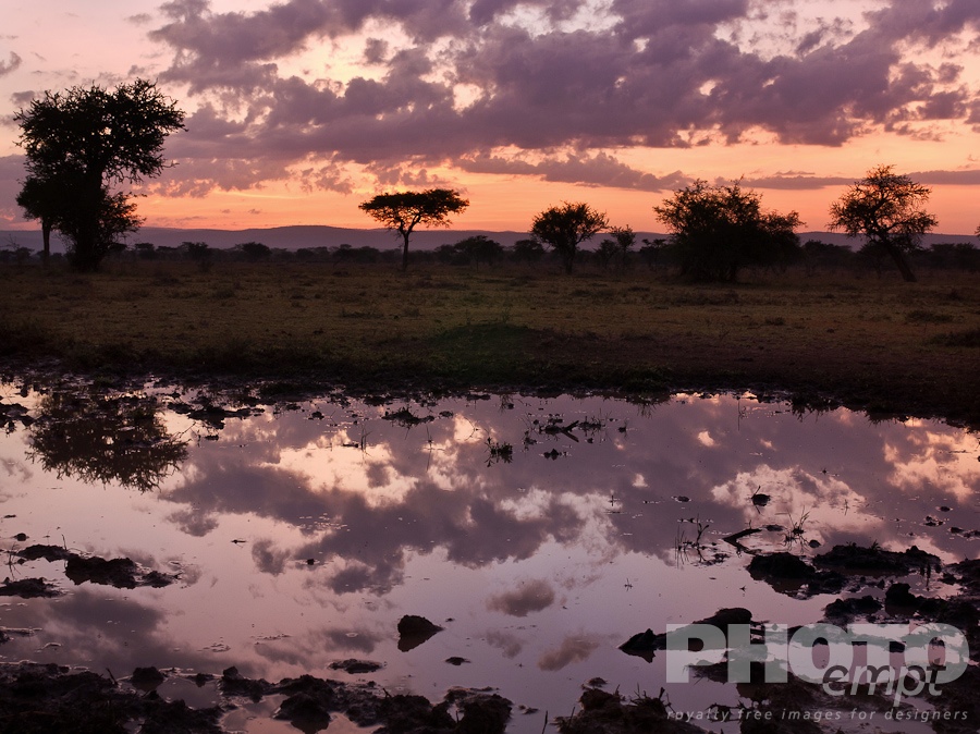 African Safari - Kenya