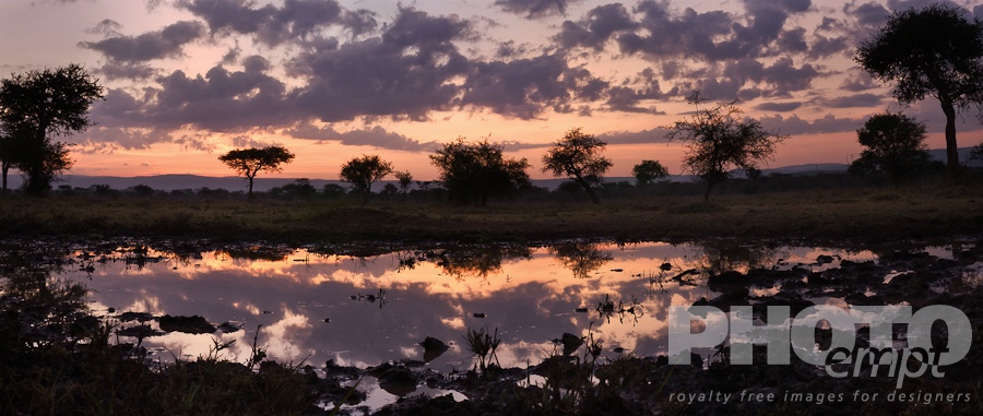 African Safari - Kenya