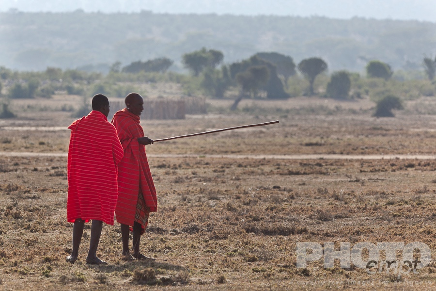 African Safari - Kenya