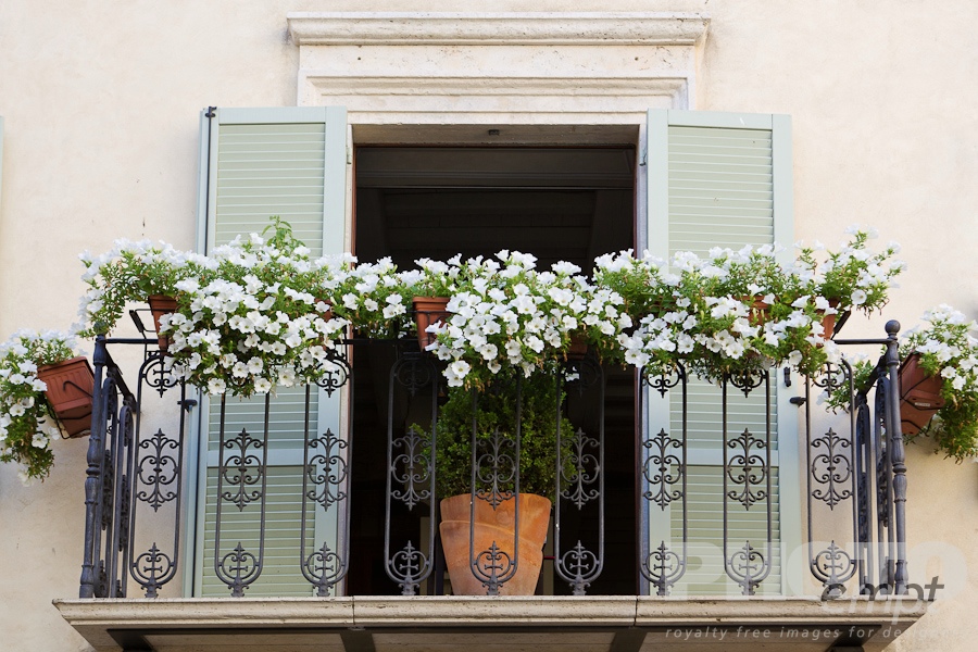 Doors and Windows