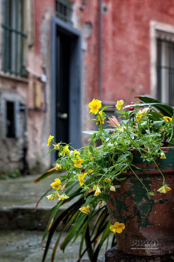 Liguria and the Cinque Terre, Italy