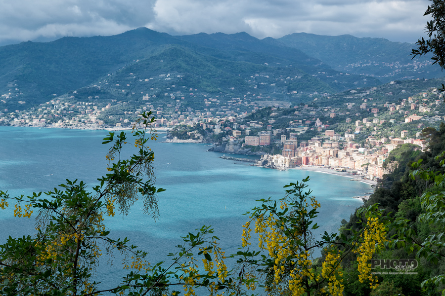 Liguria and the Cinque Terre, Italy