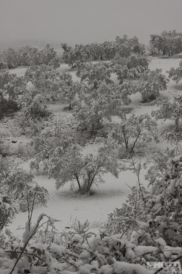 Winter in Umbira
