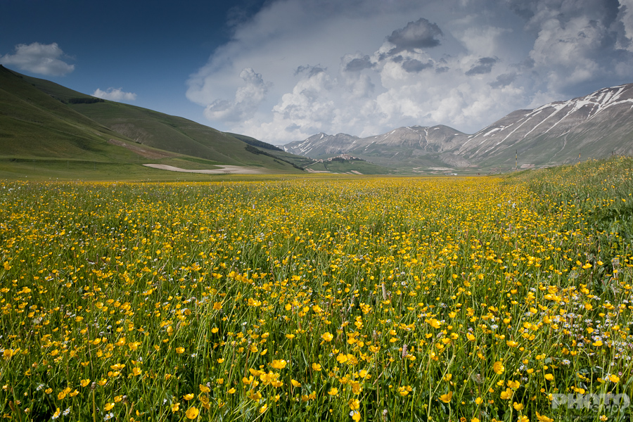 Landscape - Piano Grande, Umbria, Italy