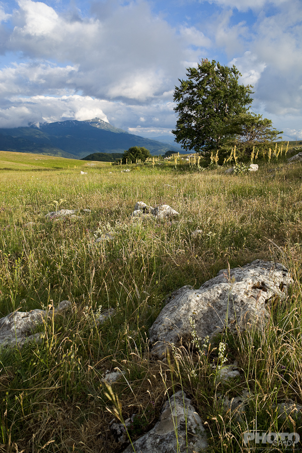 Umbria
