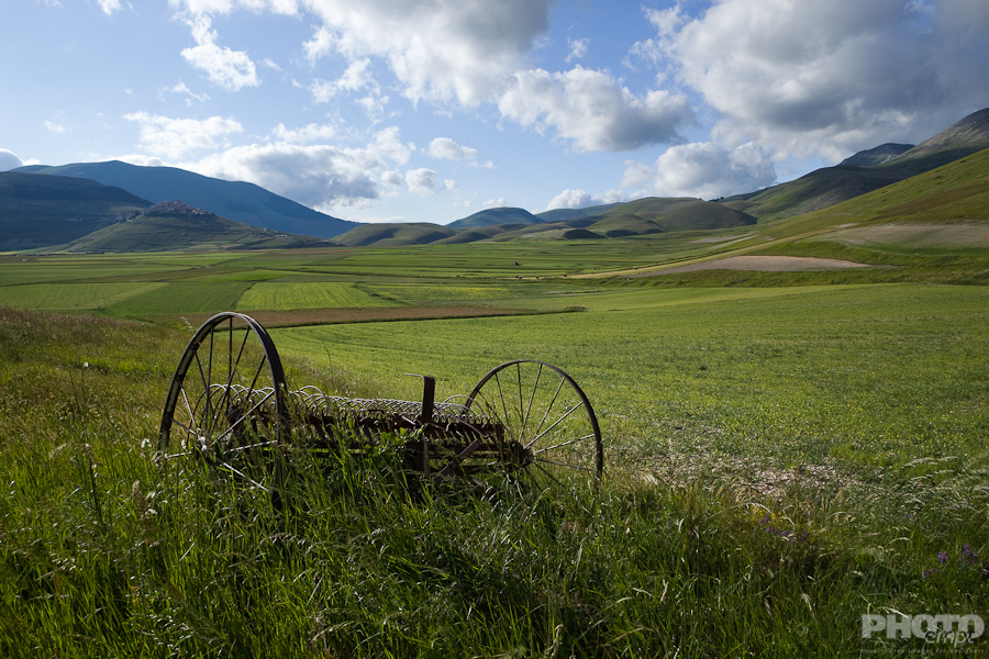 Agriculture - farming olives and grapes