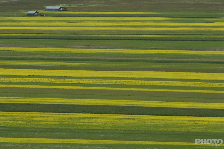 Italy: Agriculture